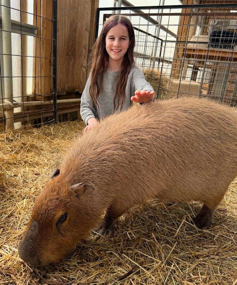 Capybara Time You Will Not Forget