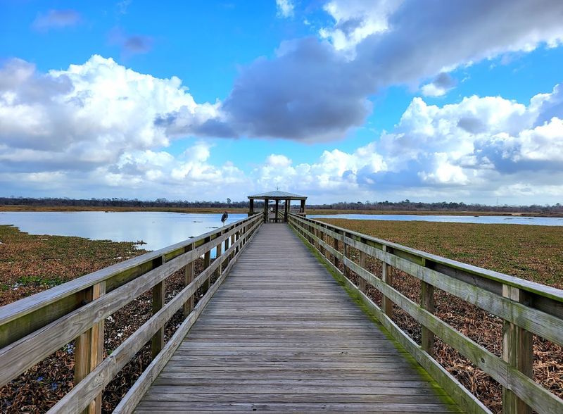Cattail Marsh Scenic Wetlands & Boardwalk (Beaumont)