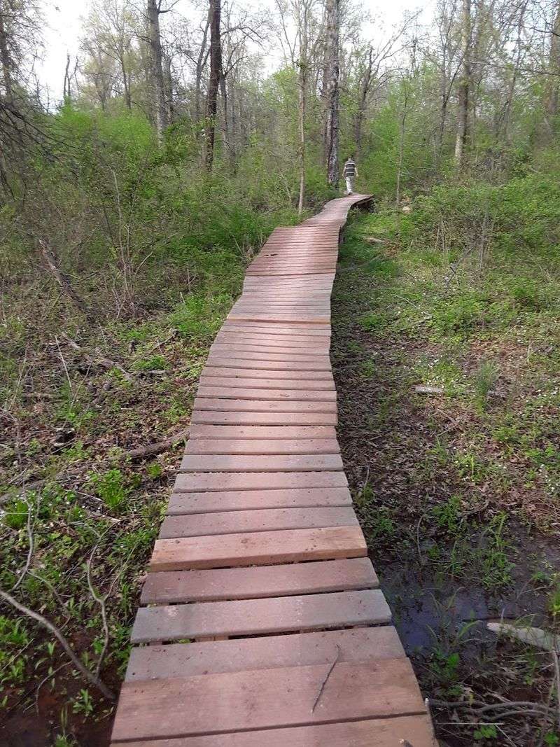 Cedar Trail at Six Mile Run Reservoir Site — Somerset Cedar Trail at Six Mile Run Reservoir Site — Somerset