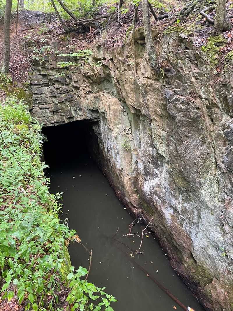 Cheaper ore from Minnesota turned Edison’s multimillion-dollar gamble into a spectacular failure