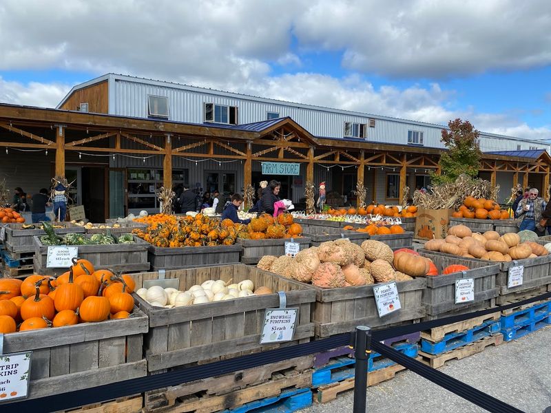 Cider, Food, And The Farm Market Turn A Visit Into A Full Day Cider, Food, And The Farm Market Turn A Visit Into A Full Day