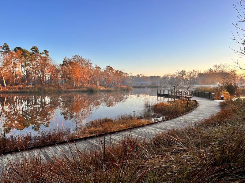 Clay Family Eastern Glades (Houston)