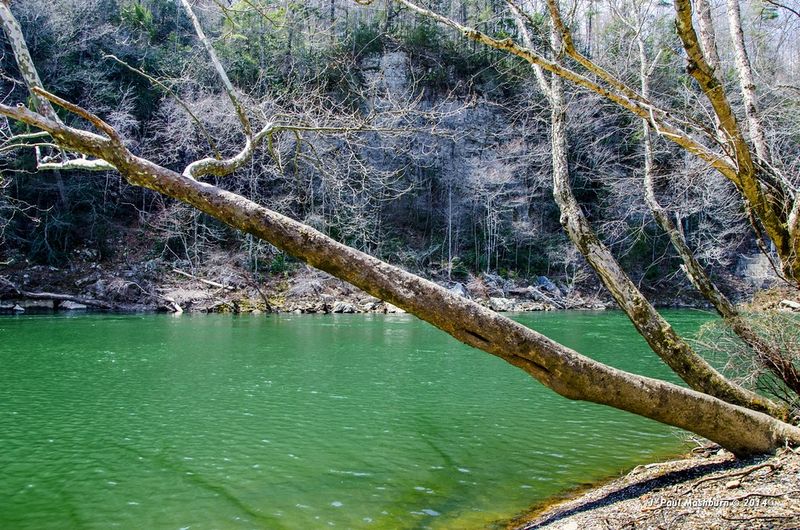 Clear Creek Preserve, Wartburg