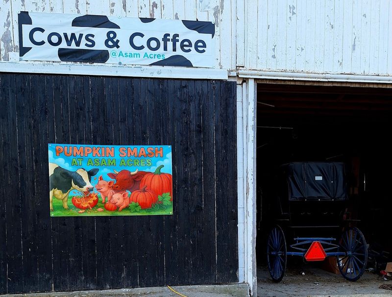 Coffee With Cows and Pancakes With Pigs — Michigan Farm Events Done Differently Coffee With Cows and Pancakes With Pigs — Michigan Farm Events Done Differently