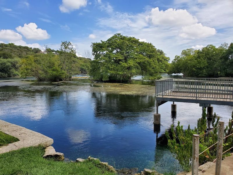 Comal Springs Overlook Comal Springs Overlook