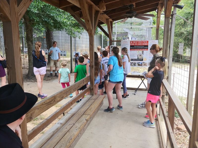 Conservation Education and Awareness Conservation Education and Awareness