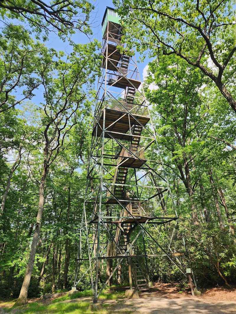 Cook Forest State Park