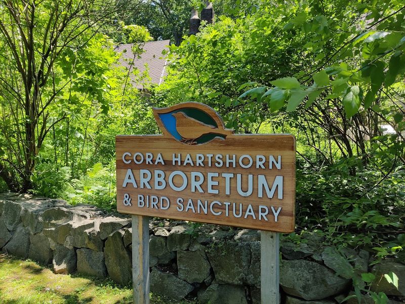 Cora Hartshorn’s Woodland Sanctuary Has Flourished in Short Hills Since 1923 Cora Hartshorn’s Woodland Sanctuary Has Flourished in Short Hills Since 1923