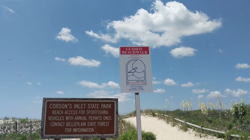 Corson’s Inlet State Park Is Ocean City’s Quietest Coastal Escape Corson’s Inlet State Park Is Ocean City’s Quietest Coastal Escape