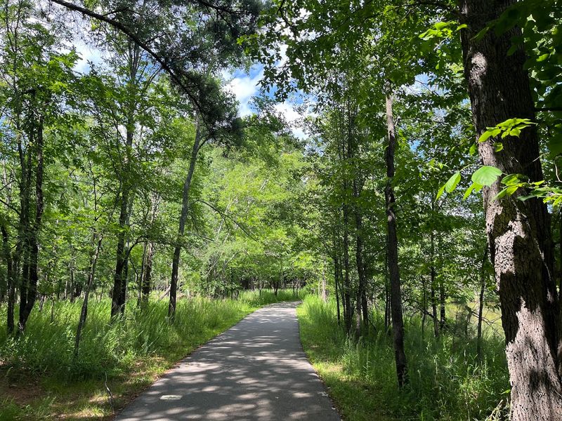 Couchville Lake Trail — Long Hunter State Park, Hermitage Couchville Lake Trail — Long Hunter State Park, Hermitage