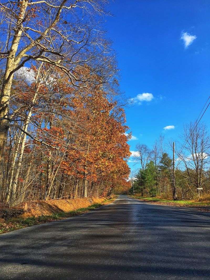 County Route 519 from Stockton to the New York State Line
