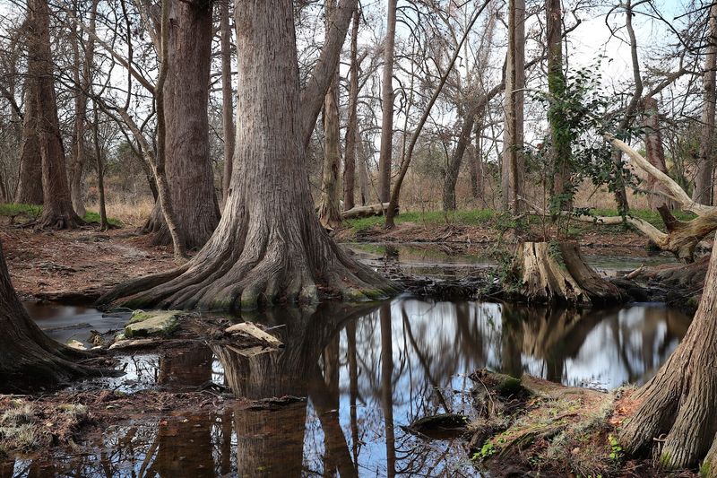 Creekside & Marsh Loop Trails (Boerne) Creekside & Marsh Loop Trails (Boerne)
