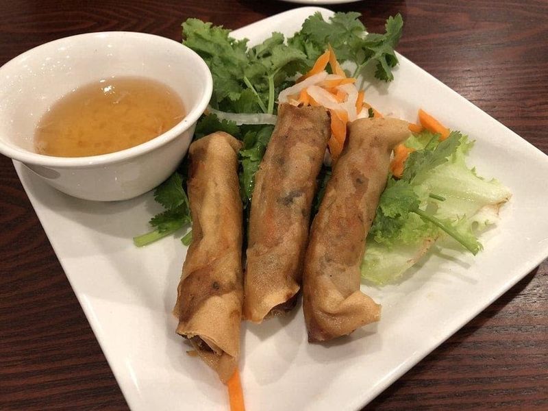 Crispy Starters and Fresh Rolls Deserve Their Own Spotlight