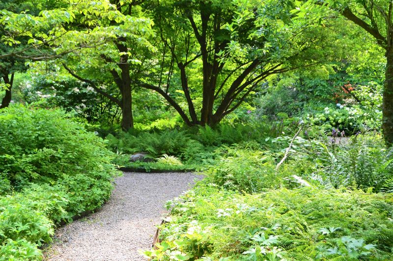 Cross Estate Gardens - Bernardsville Cross Estate Gardens - Bernardsville