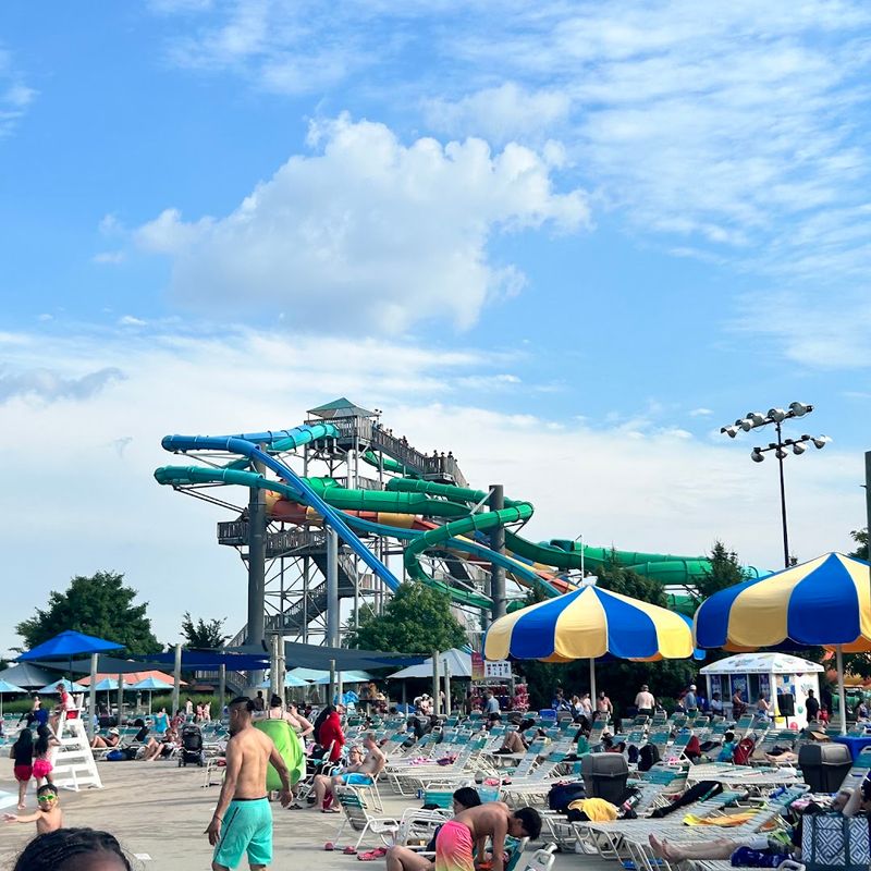Crowds can shape the entire adult experience
