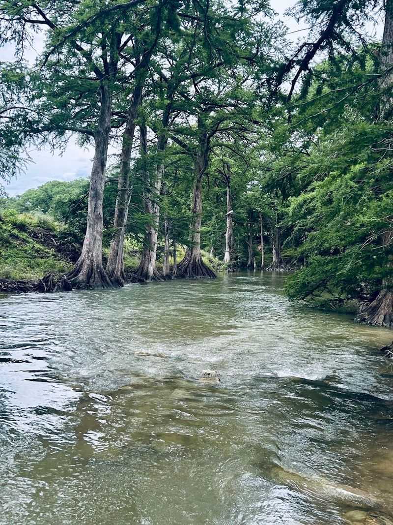 Crystal-Clear Guadalupe River Access Crystal-Clear Guadalupe River Access