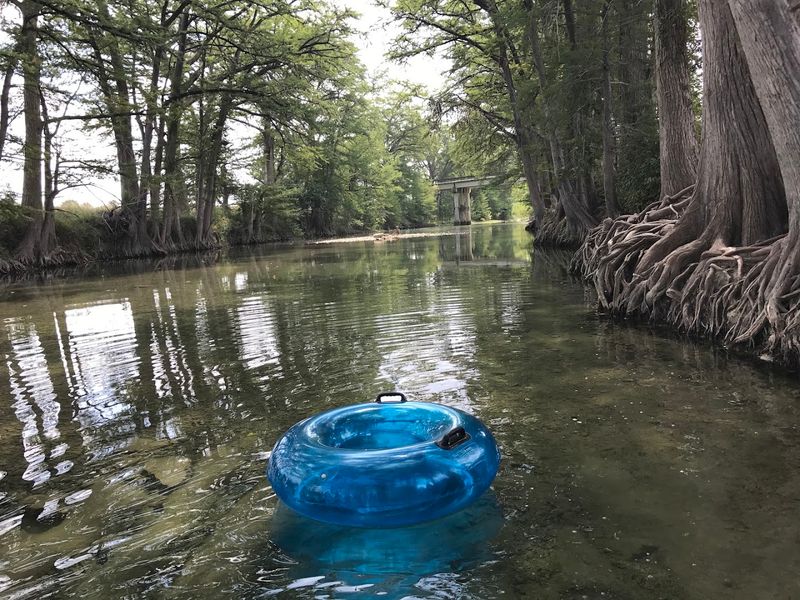 Crystal-Clear Waters That Let You See Every Fish