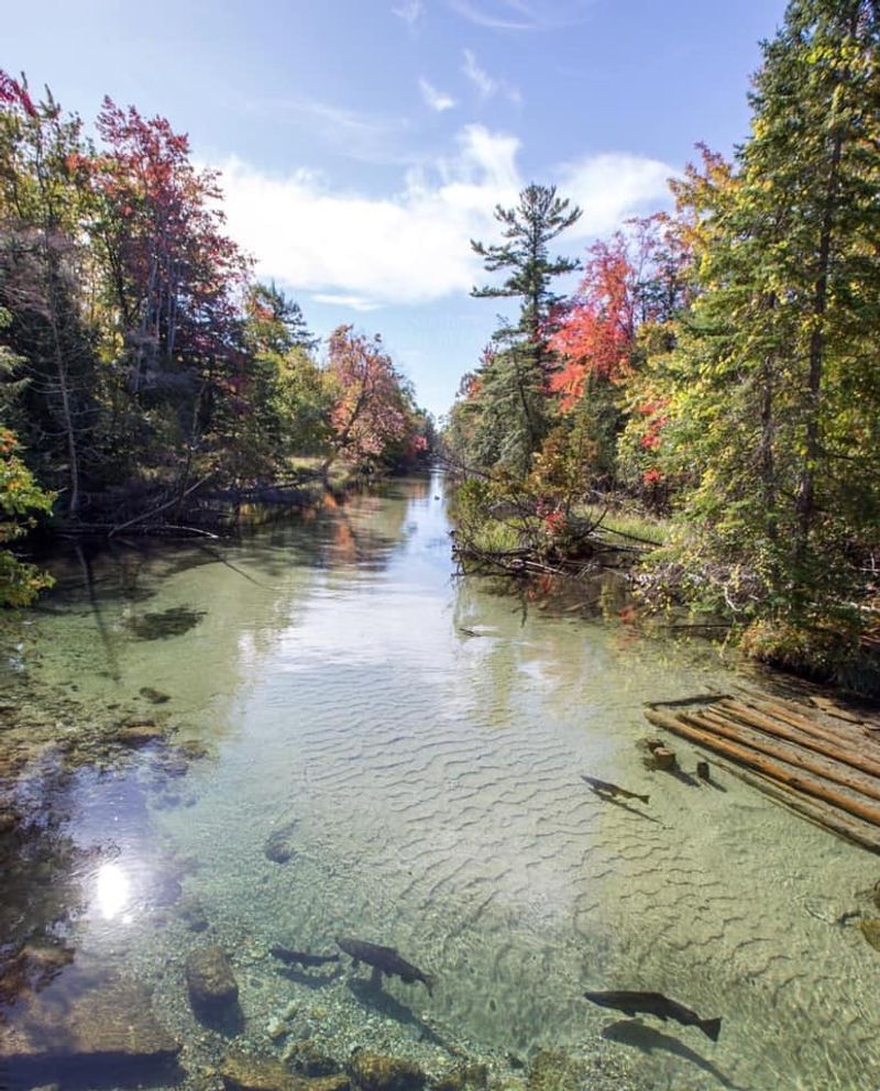Crystal River Crystal River