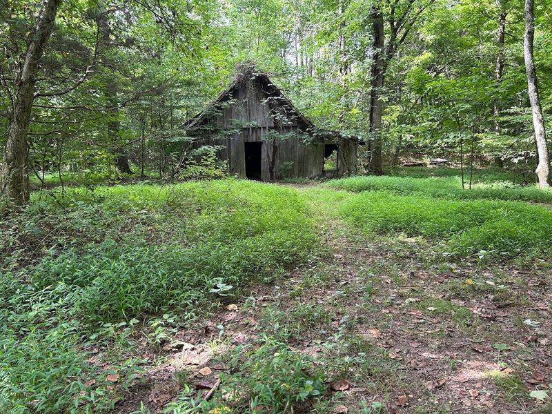 Cummins Falls State Park – Cookeville