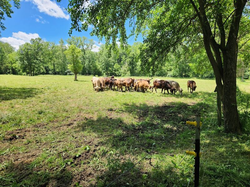 The Farm Store and Extras That Turn One Meal Into a Longer Outing The Farm Store and Extras That Turn One Meal Into a Longer Outing