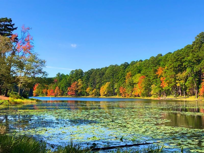 Daingerfield State Park Daingerfield State Park