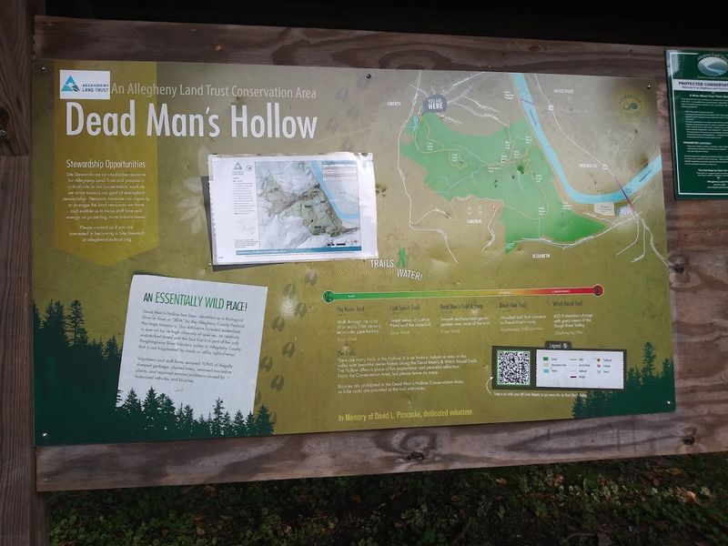 Dead Man's Hollow, Near McKeesport Dead Man's Hollow, Near McKeesport