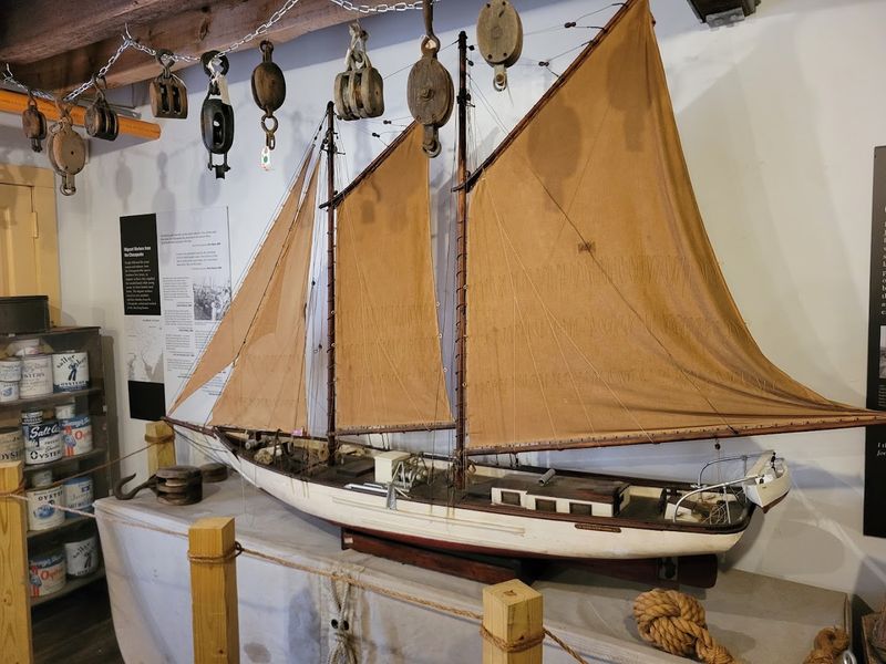 Delaware Bay Museum at the Bayshore Center - Bivalve