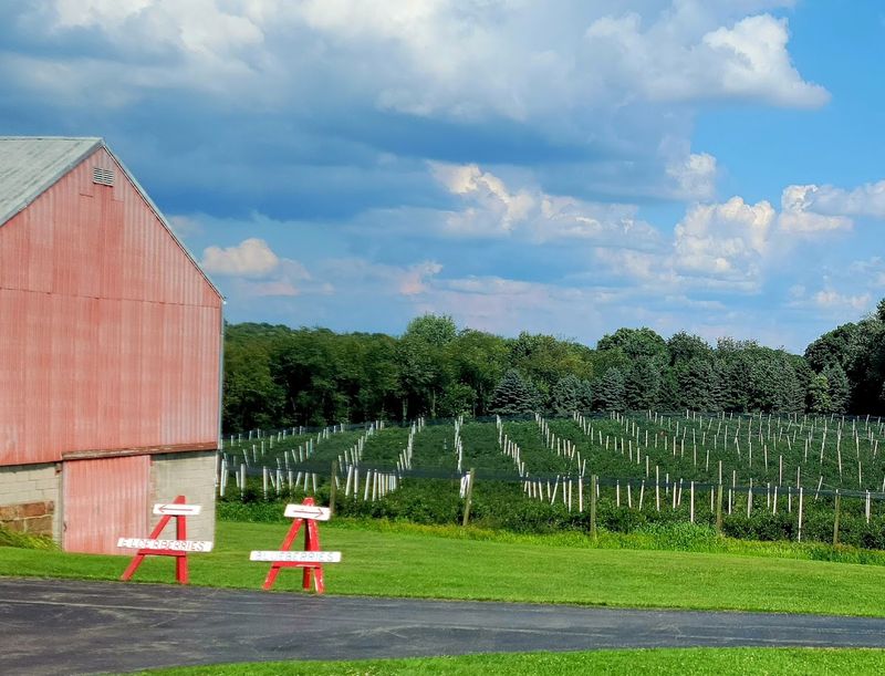 Dillon Fruit Farm - Nashport, Muskingum County Dillon Fruit Farm - Nashport, Muskingum County