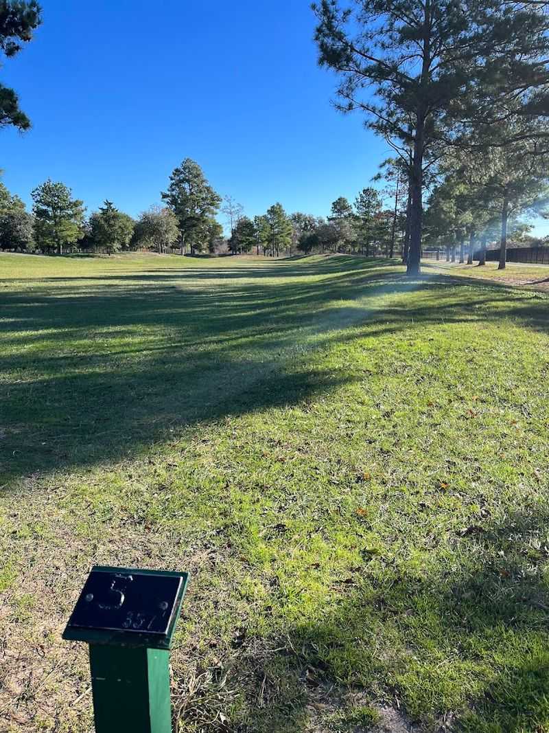 Disc Golf Details