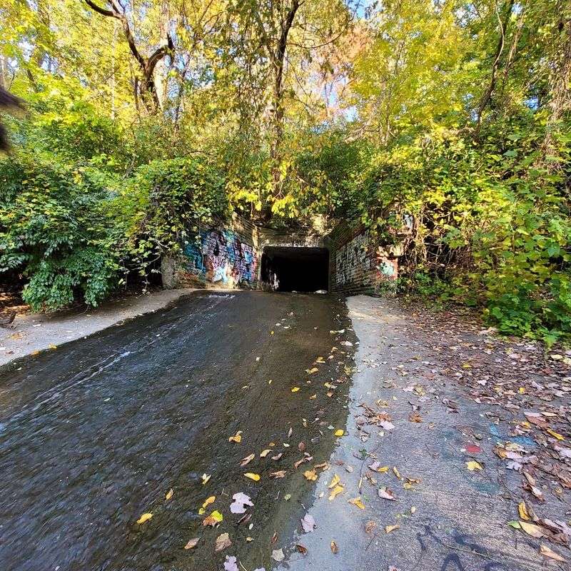 Doan Brook is the heart of the experience Doan Brook is the heart of the experience