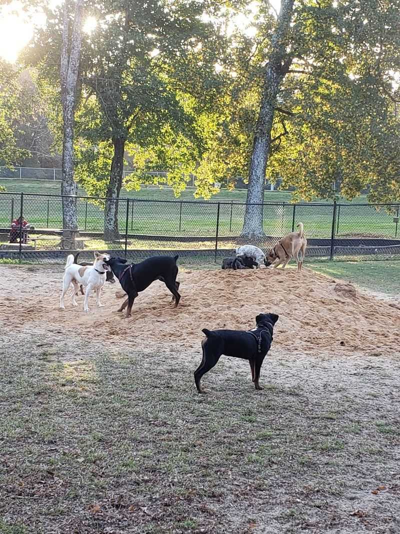 Dog areas make this a strong pick for pet owners Dog areas make this a strong pick for pet owners
