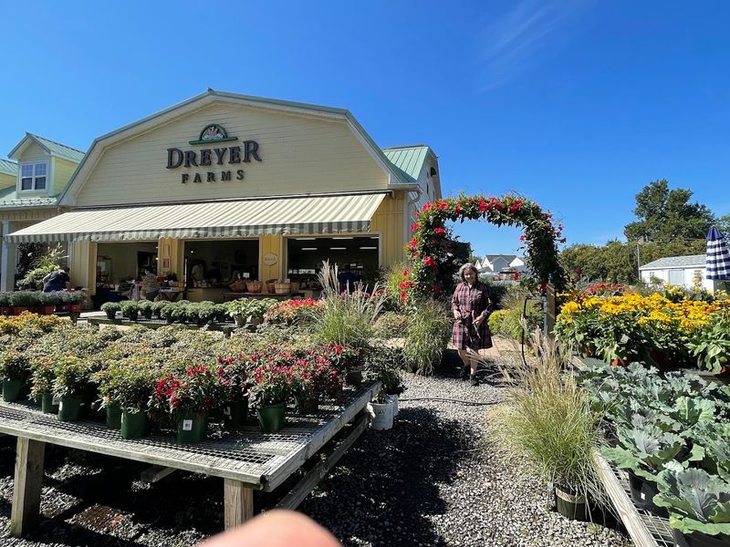 Dreyer Farms - Cranford Dreyer Farms - Cranford