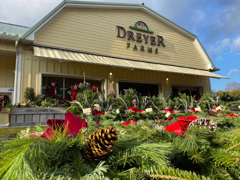 Dreyer Farms - Cranford Dreyer Farms - Cranford