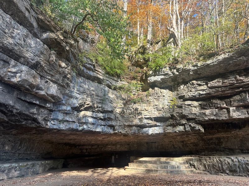 Dunbar Cave — Clarksville Dunbar Cave — Clarksville
