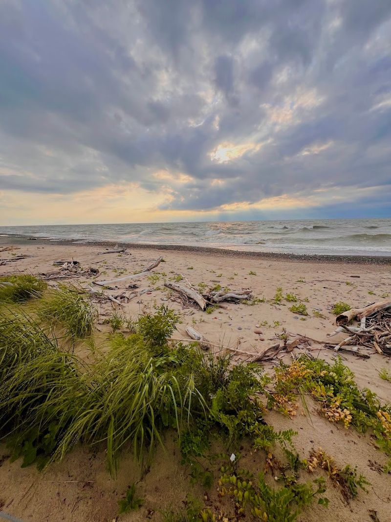 Dunes and Natural Areas Keep It Feeling Wild Dunes and Natural Areas Keep It Feeling Wild