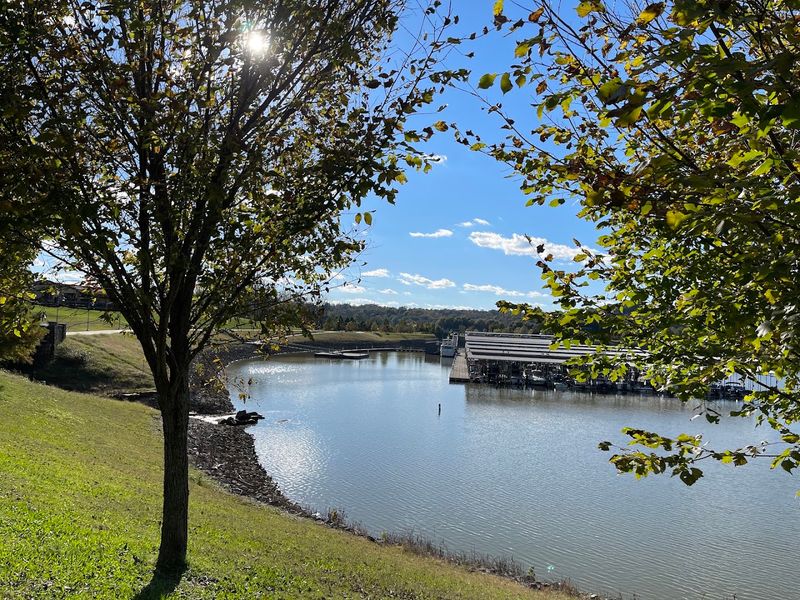 Clarksville Marina