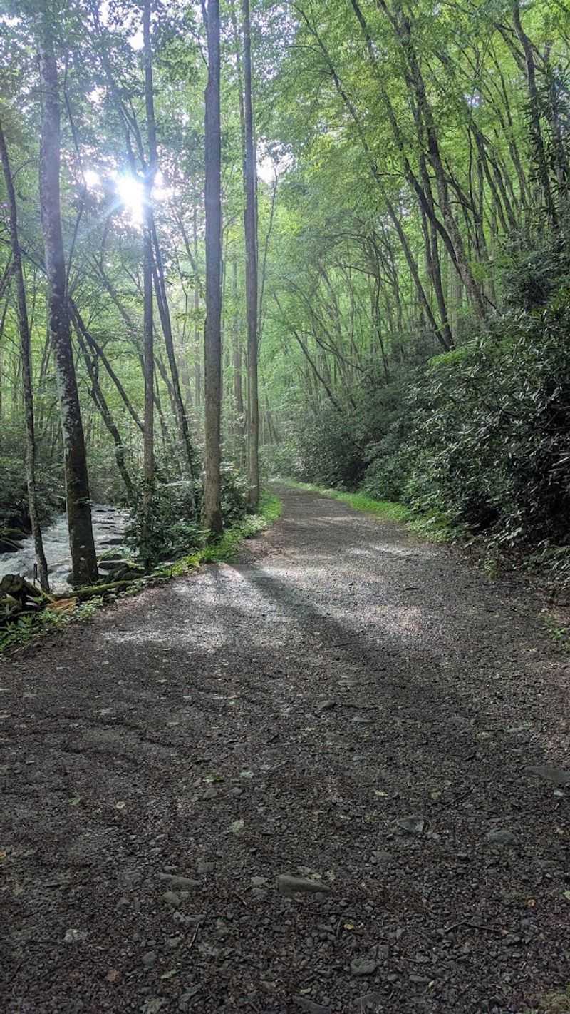 Easy Access From Townsend's Quiet Side
