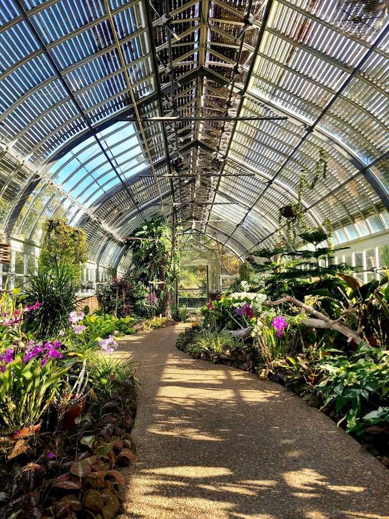 Educational Greenhouses Protect Tropical Treasures