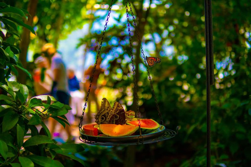 Educational Insect Exhibits That Actually Hold Your Attention Educational Insect Exhibits That Actually Hold Your Attention