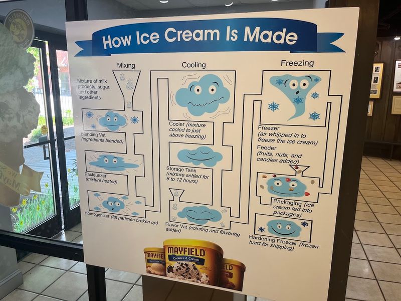 Educational Value That Feels Like Fun