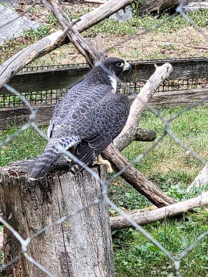 Educational experiences that make the animals feel even more unforgettable