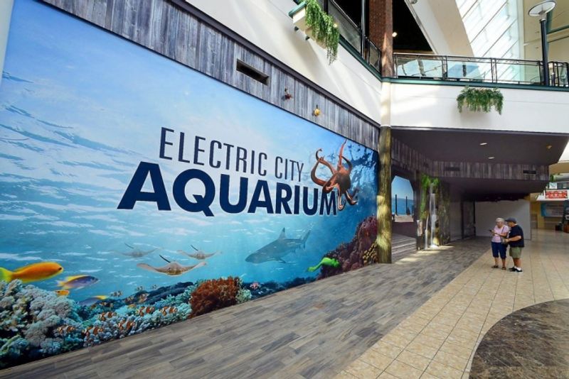 Electric City Aquarium & Reptile Den Electric City Aquarium & Reptile Den