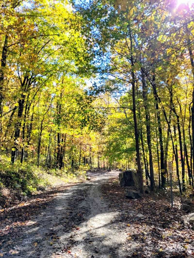 End the Day With a Slow Drive Back Through the Tennessee Hills End the Day With a Slow Drive Back Through the Tennessee Hills