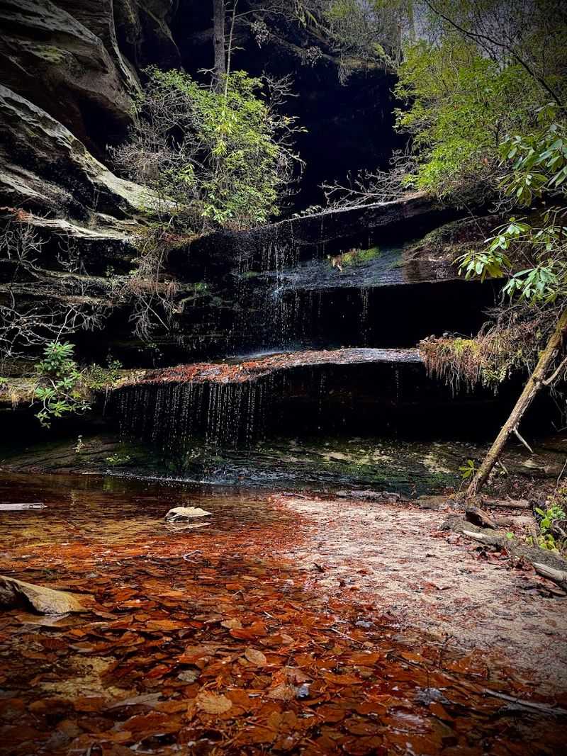End the Hike Feeling Like You Found One of Tennessee's Hidden Gems End the Hike Feeling Like You Found One of Tennessee's Hidden Gems