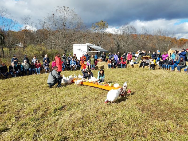 Events that make the sanctuary come alive