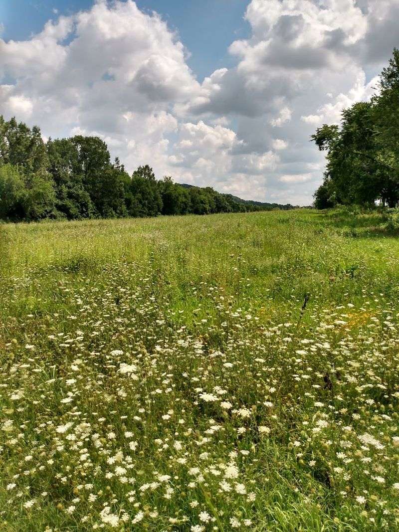 Every Region Feels Like a Different Kind of Tennessee