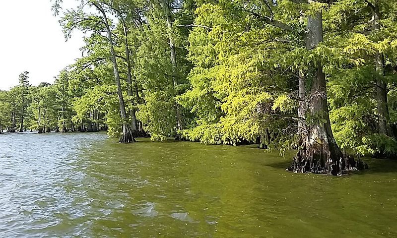 Every Turn Offers Another Peaceful View Worth Remembering