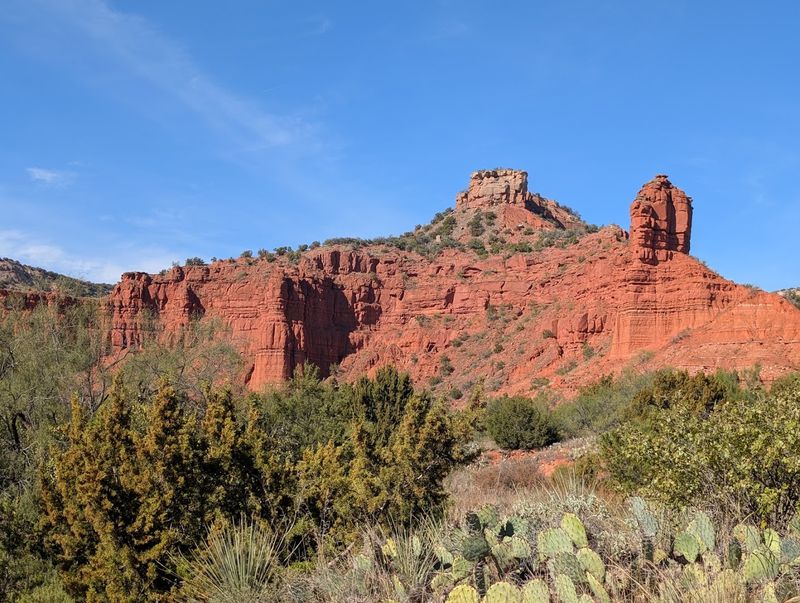 Explore Caprock Canyons and see the Texas State Bison Herd Explore Caprock Canyons and see the Texas State Bison Herd