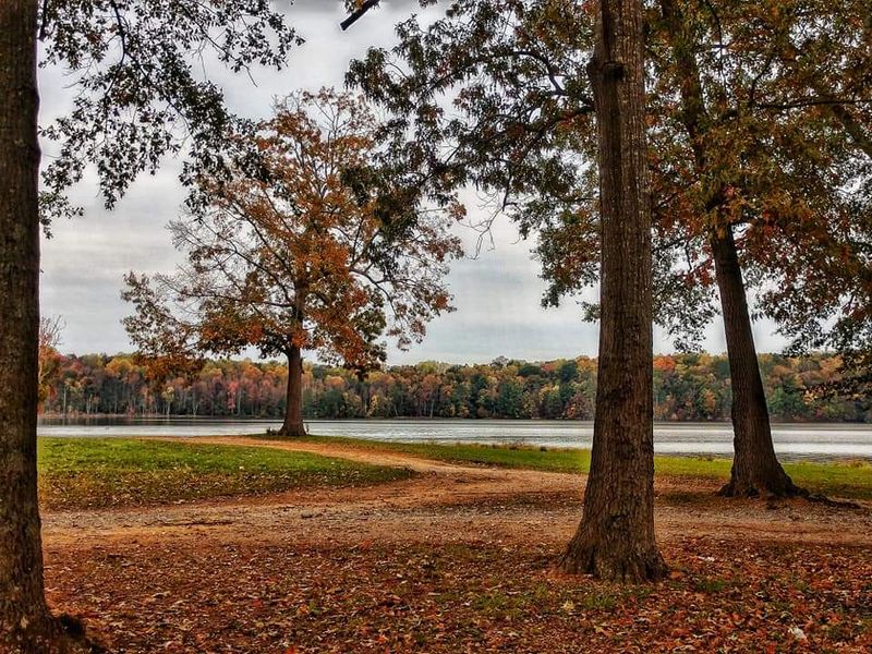 Explore the Small-Town Charm That Makes Estill Springs Feel Peaceful Explore the Small-Town Charm That Makes Estill Springs Feel Peaceful