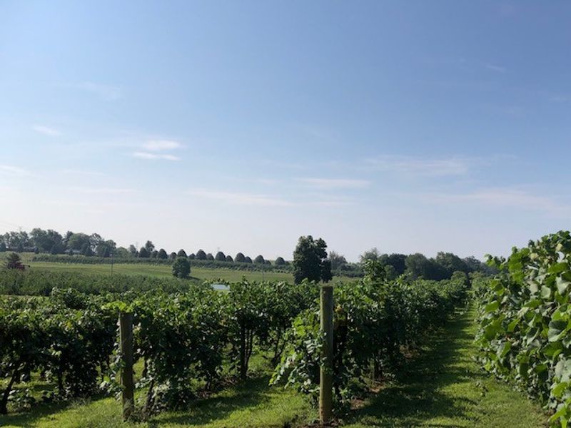 Huber's Orchard & Winery (Borden)